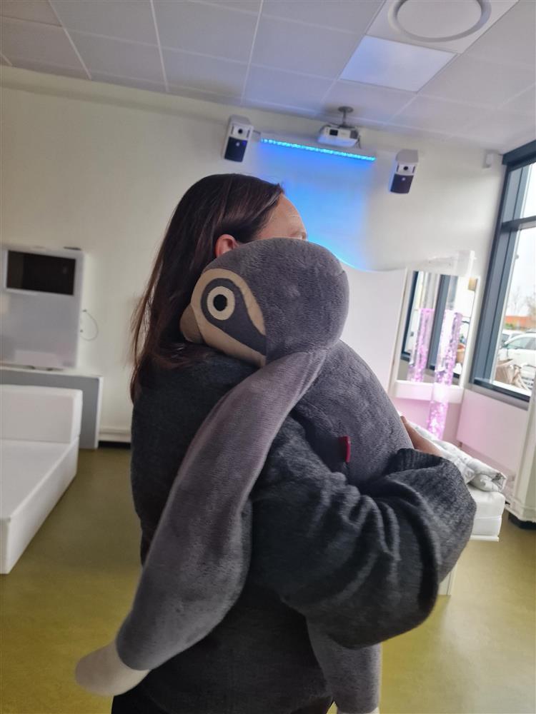 Klikk for stort bilde