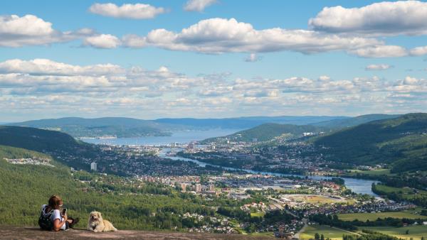 Lenke til artikkel: Drammen er landets 5. største og Østlandets nest største tettsted