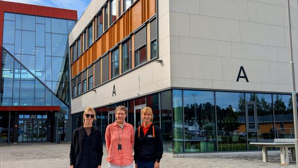 Lenke til artikkel: Partner med Fontenehuset