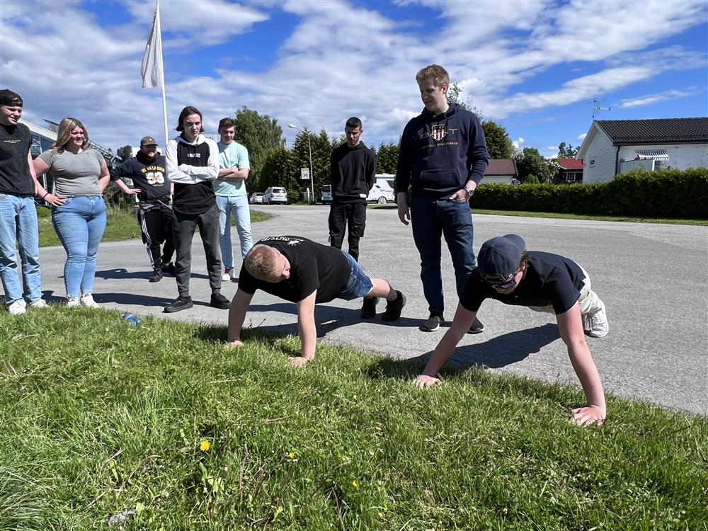Klikk for stort bilde
