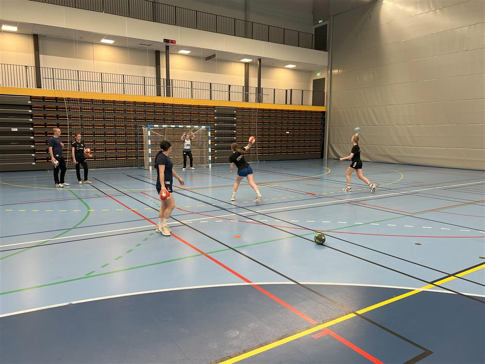 Mange ungdommer som spiller håndball - Klikk for stort bilde