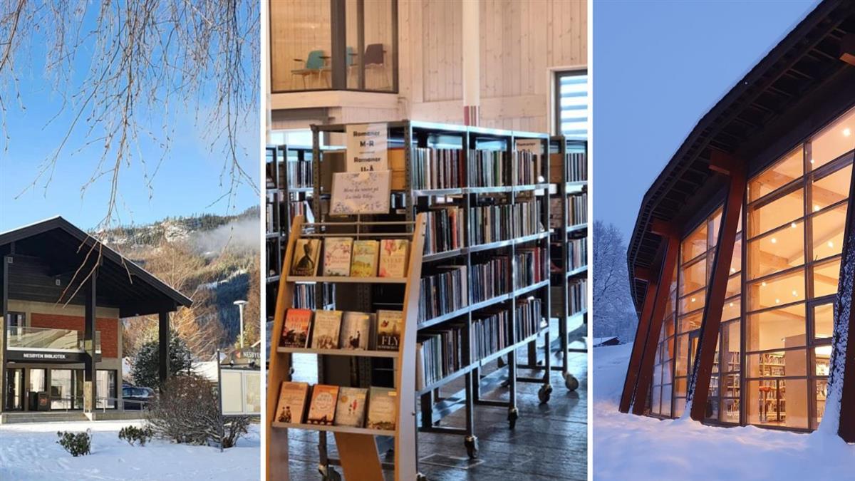 Foto av Hol, Hemsedal og Nesbyen bibliotek. - Klikk for stort bilde