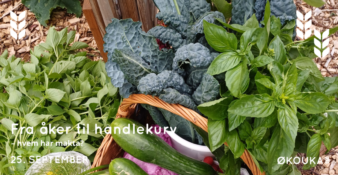 Banner med tittelen: Fra åker til handlekurv, hvem har makta? Bilde av en kurv med agurk, grønnkål og urter. 