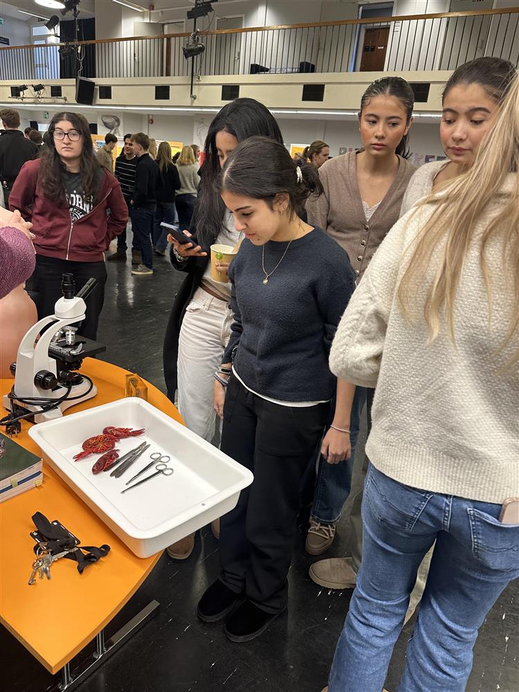 Klikk for stort bilde