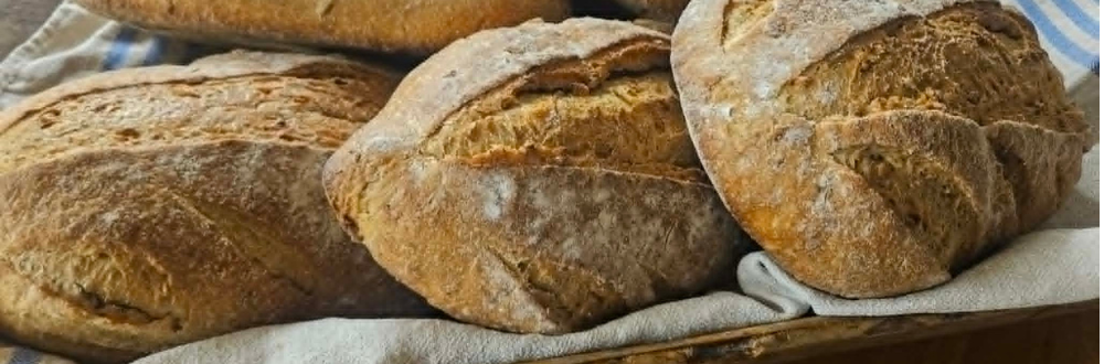 Ferske bakerovnsbrød i et trau